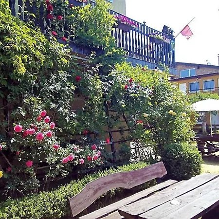 Pod Sumakiem - Nad Morzem