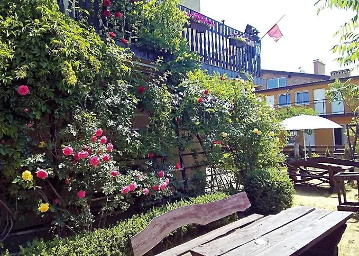 Pod Sumakiem - Nad Morzem