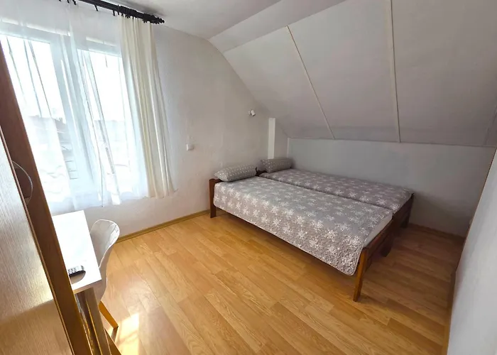 Pod Sumakiem - Nad Morzem 드지비르지노